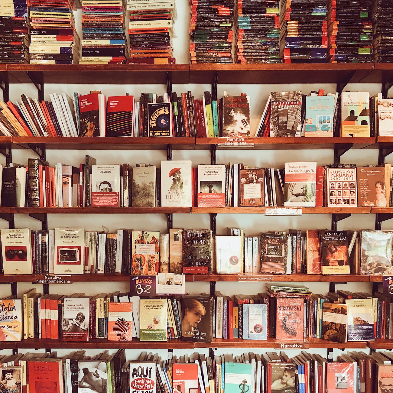 A vibrant collection of books neatly arranged on wooden shelves in a cozy library setting.