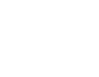 Consulting LLC